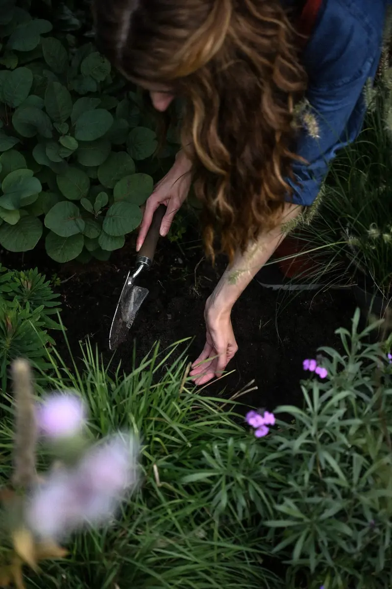 Handen in de aarde bij het aanplanten